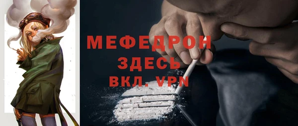 индика Белокуриха