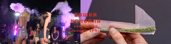 ГАЛЛЮЦИНОГЕННЫЕ ГРИБЫ Навашино