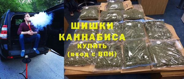 индика Белокуриха