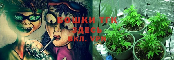 индика Белокуриха