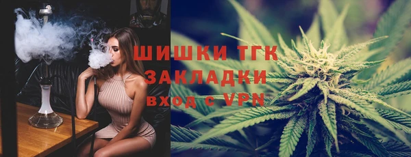 индика Белокуриха