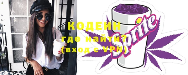 индика Белокуриха